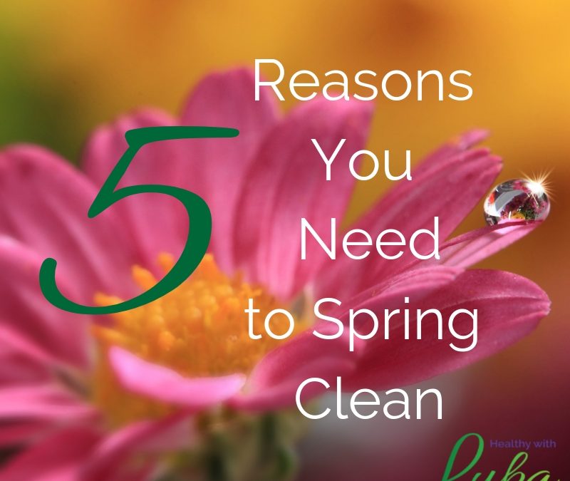 5 Reasons You Need to Spring Clean